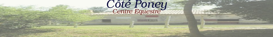 Côté Poney